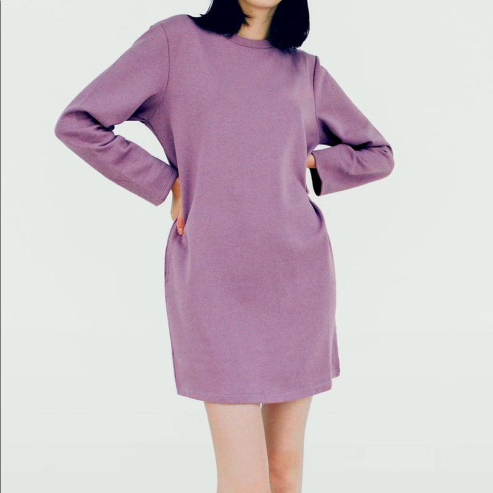 New with Tags - ZARA Mauve Plush Dress